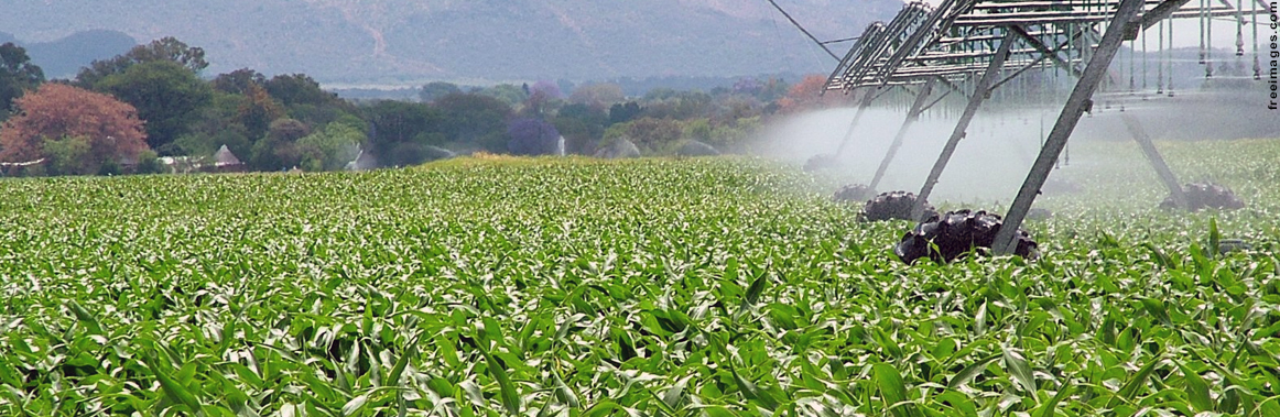 Foto ilustrativa do curso de Agronomia em Unaí da UFVJM