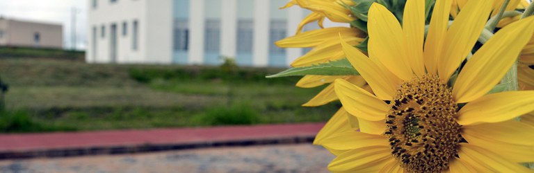 Licenciatura em Educação do Campo – LEC