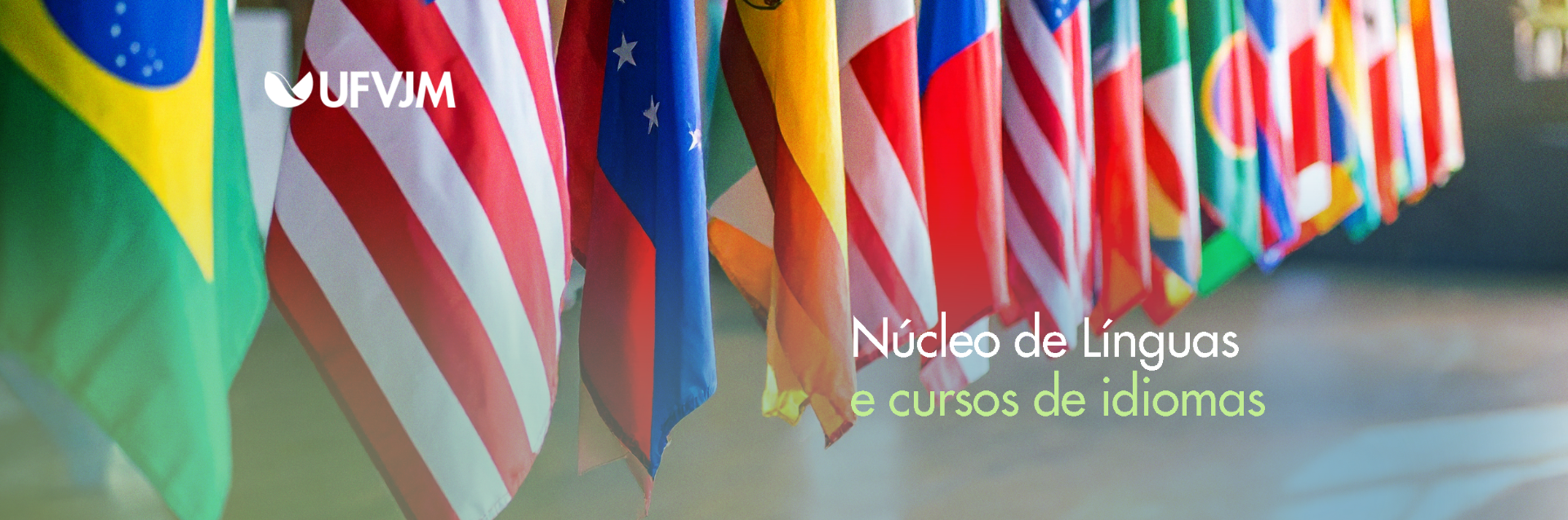 Núcleo de línguas