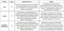 Inscrições abertas para o Programa Caminhos Amefricanos