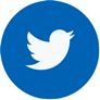 Ícone Twitter