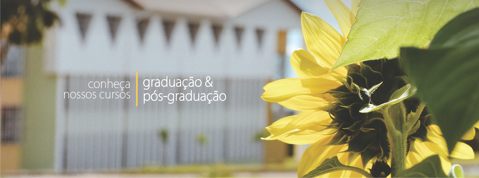 Conheça nossos cursos